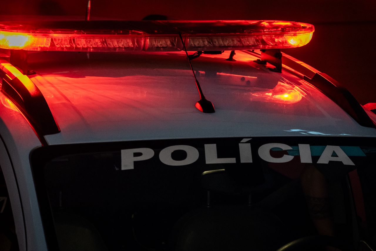 Carabinas de pressão e munições são apreendidas após denúncia envolvendo morte de ganso em Itápolis