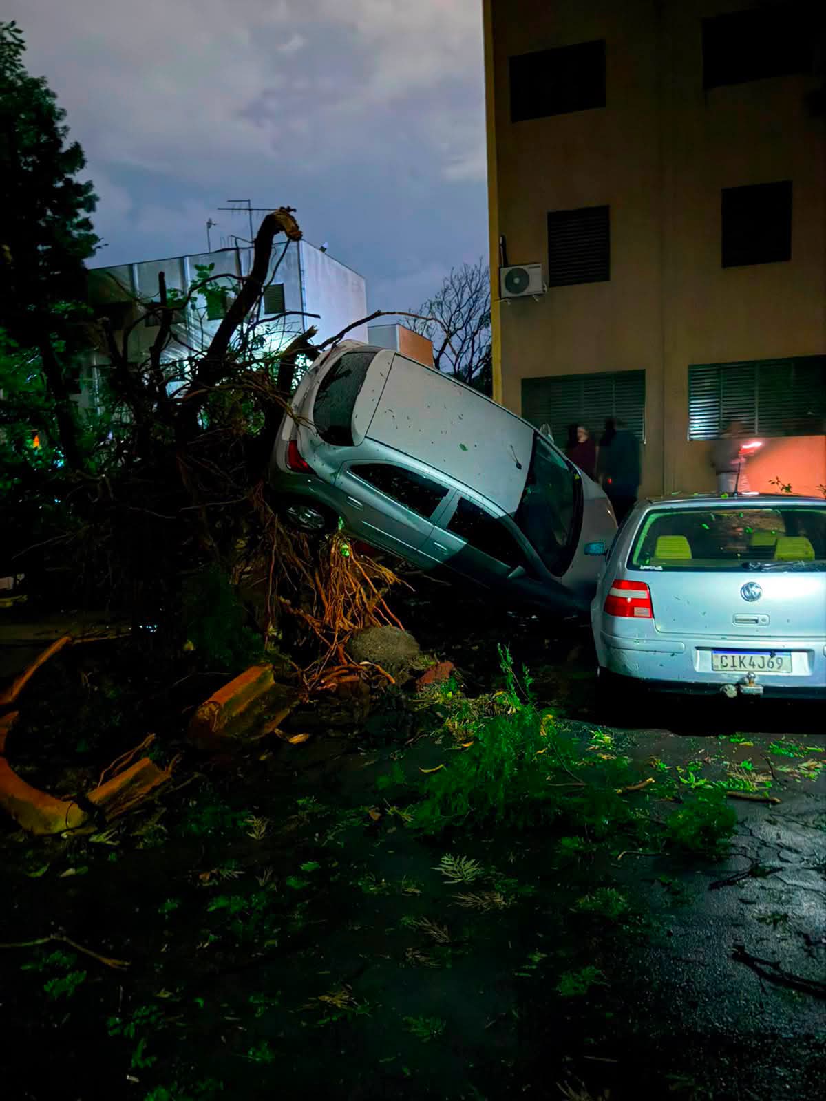 Temporal causa estragos em Ribeirão Preto e mobiliza força-tarefa da Prefeitura
